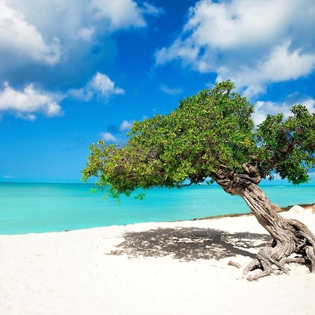 Hostel Room Aruba オラニエスタッド エクステリア 写真